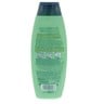 Palmolive Curl Control 2 In 1 Shampoo Aloe Vera & Hydra Block 380 ml