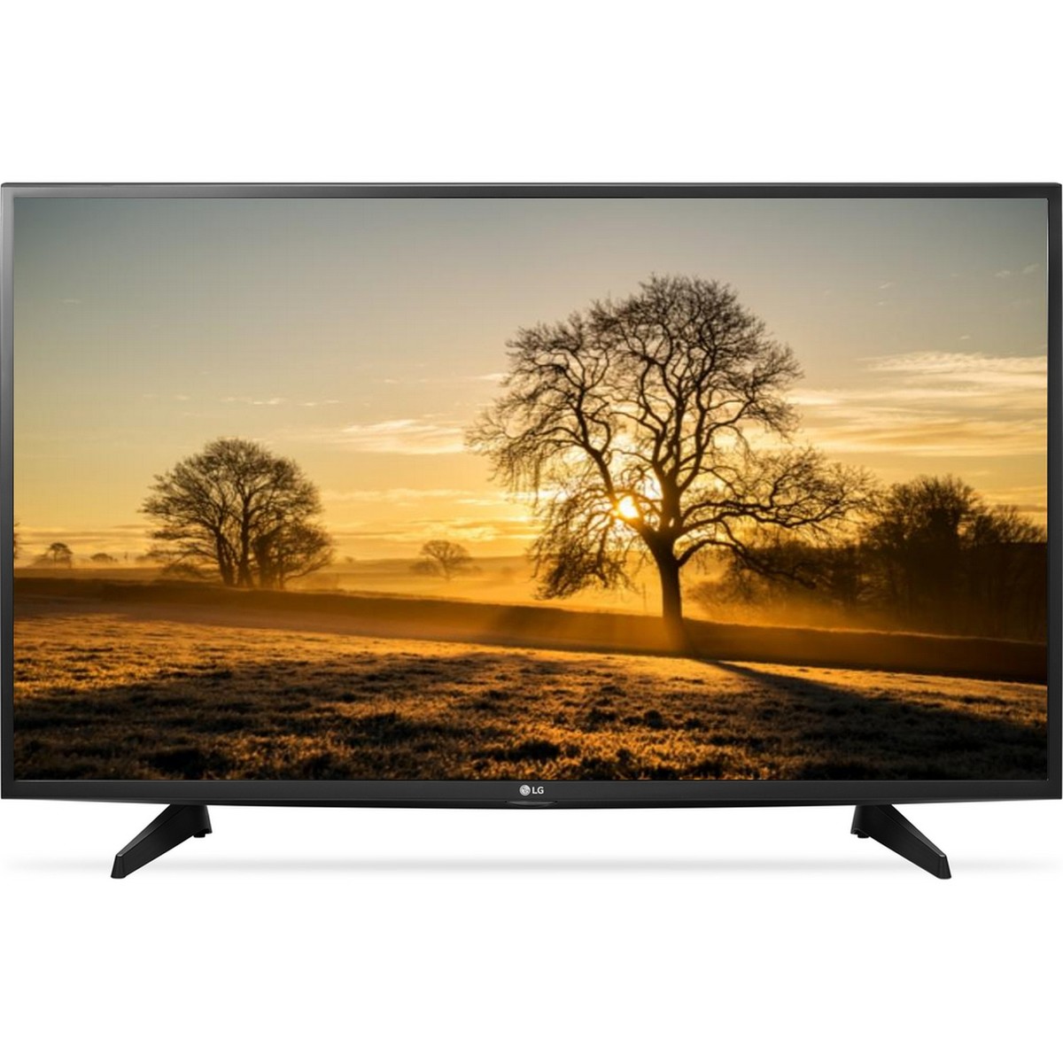 LG Full HD Smart LED TV 43LH590V 43inch
