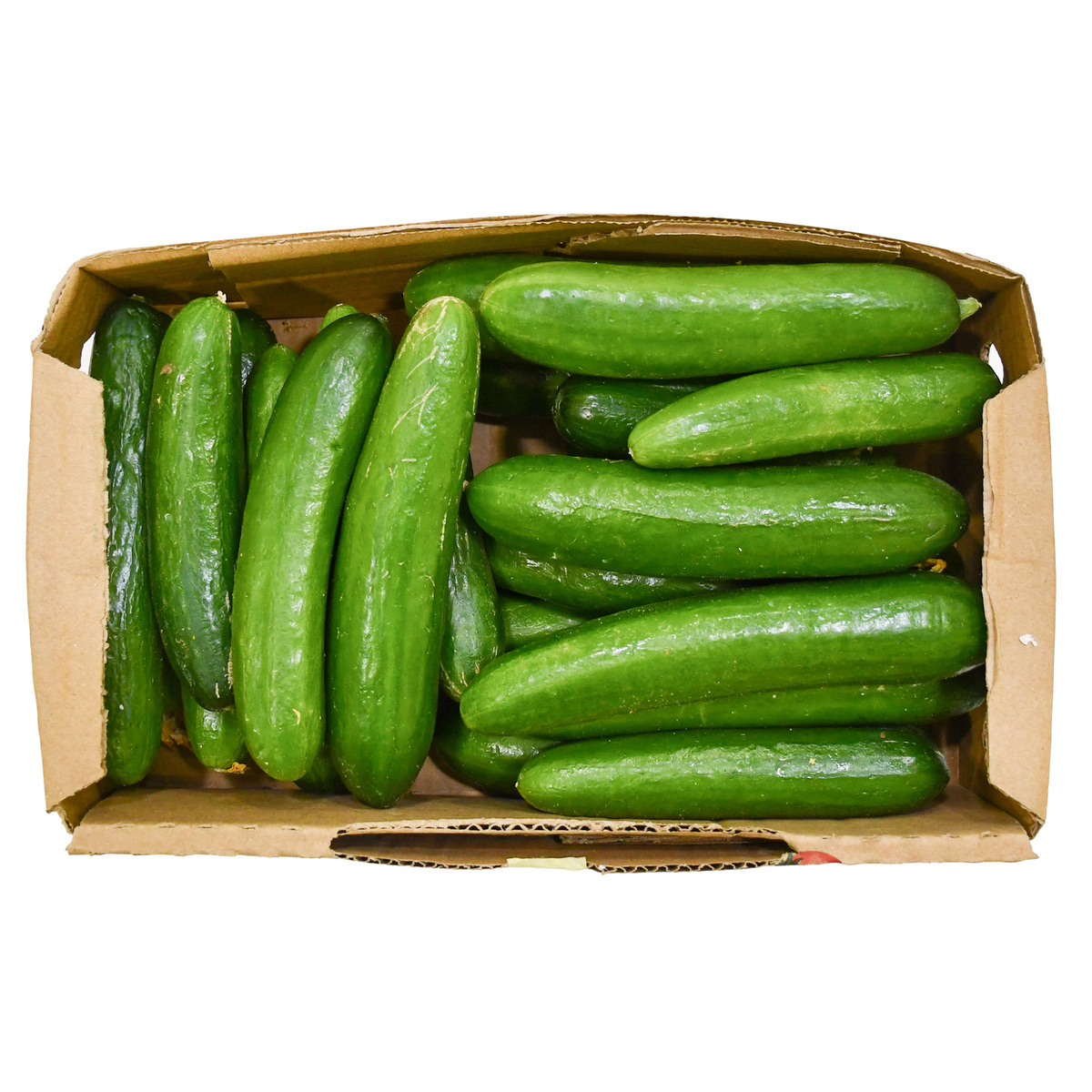 Cucumber Box 2 kg