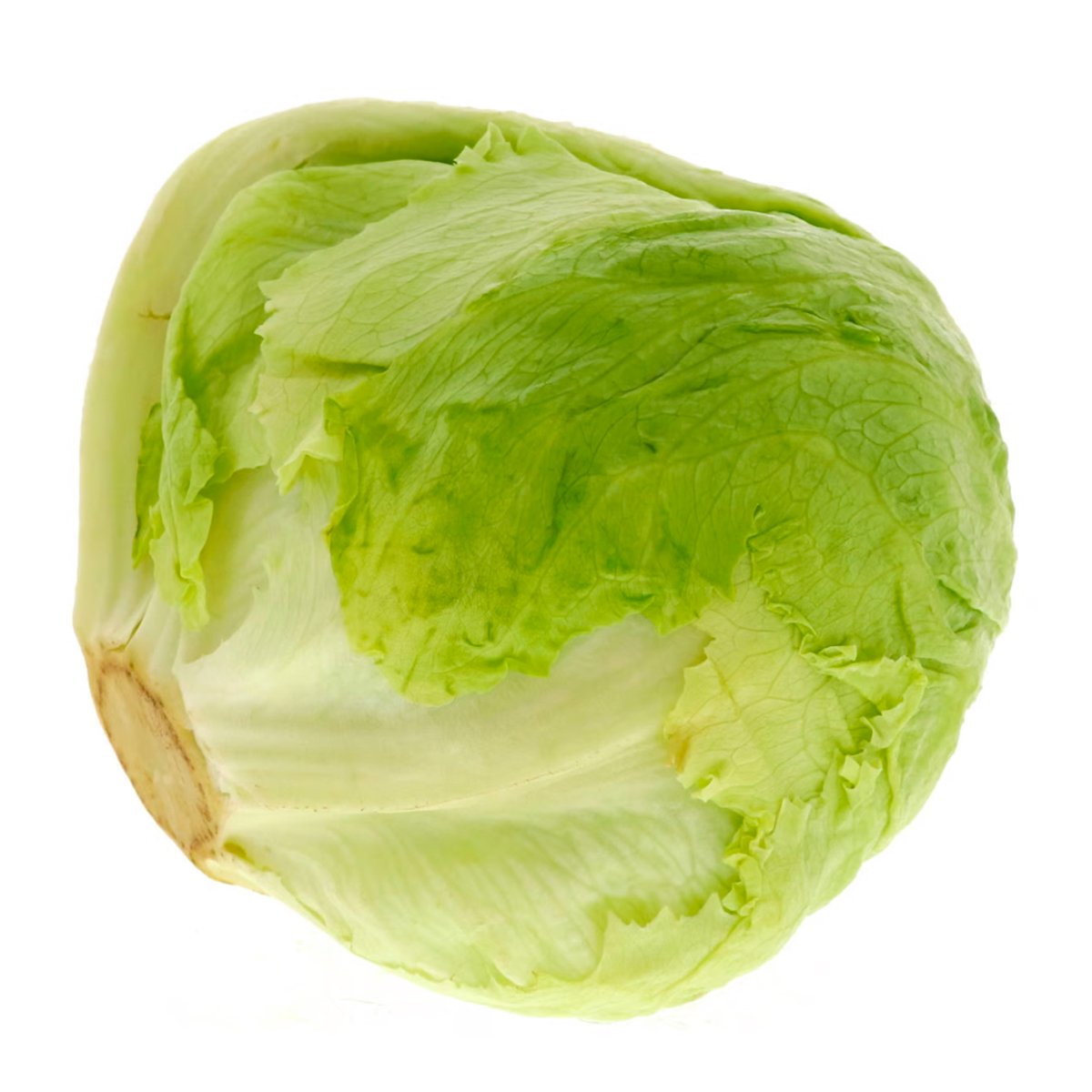 Cameron Round Lettuce 500g Approx Weight