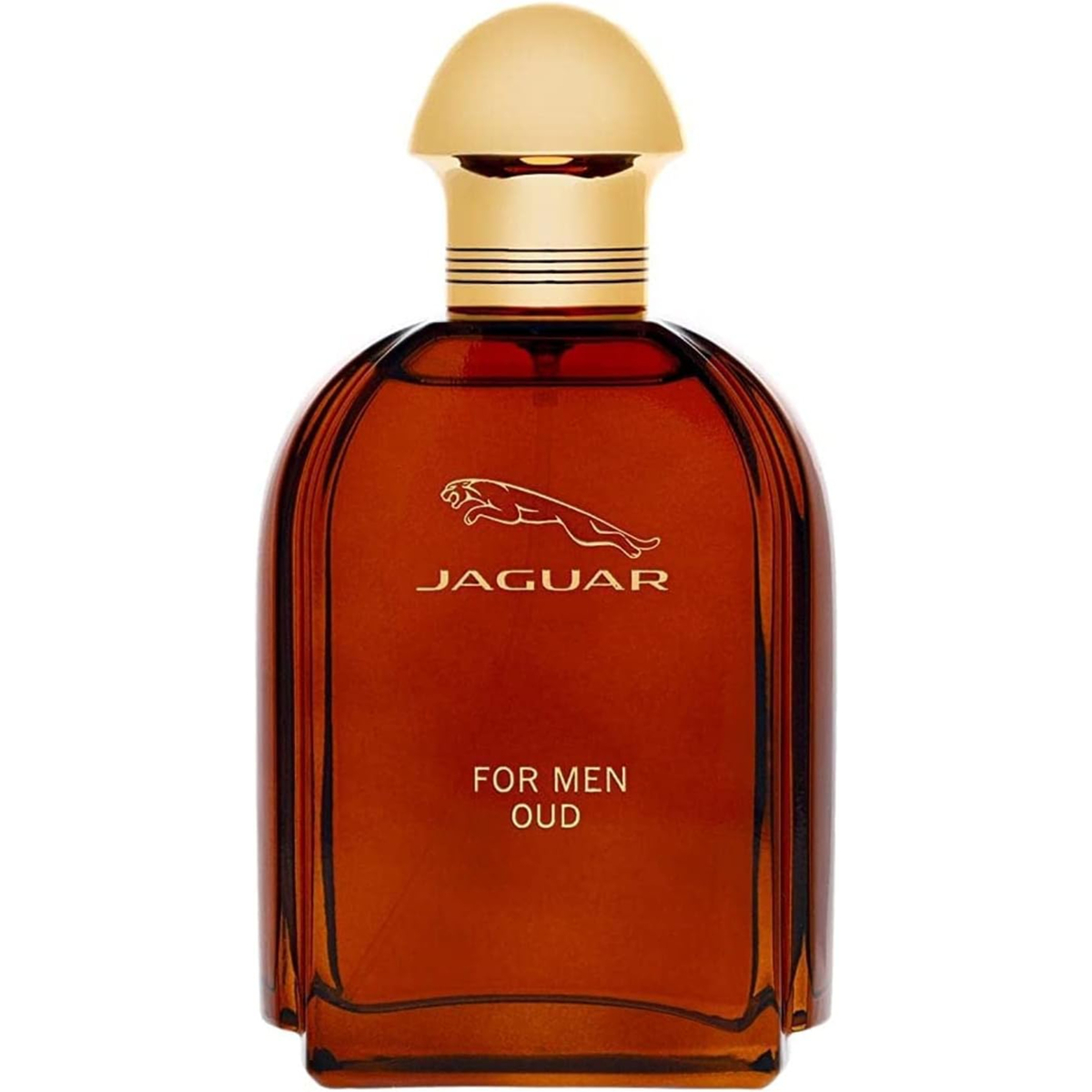 Jaguar Oud Eau de Parfum Spray For Men 100ml