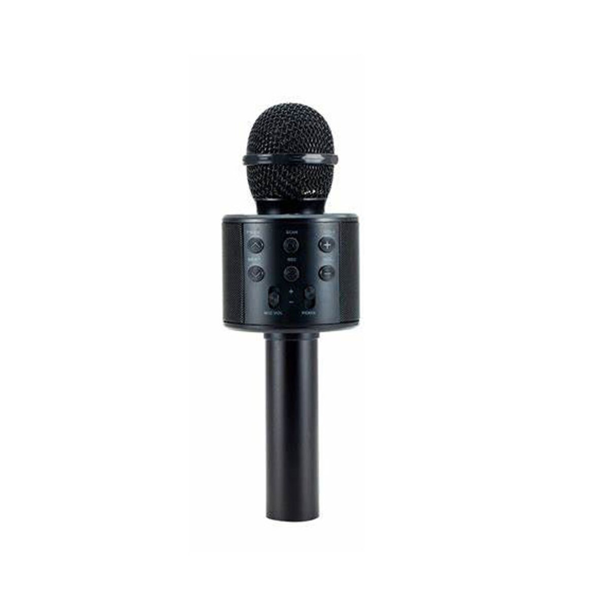 Dat Wireless Microphone With Speaker WS-858 Assorted Colors