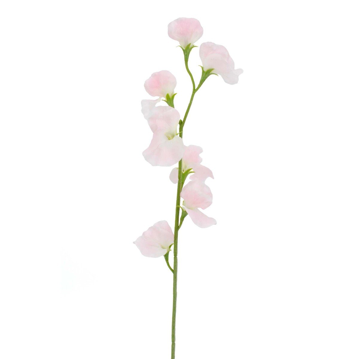Maple Leaf Home Stick Flower Sweet Pea Pink, 64 cm, 29004TF