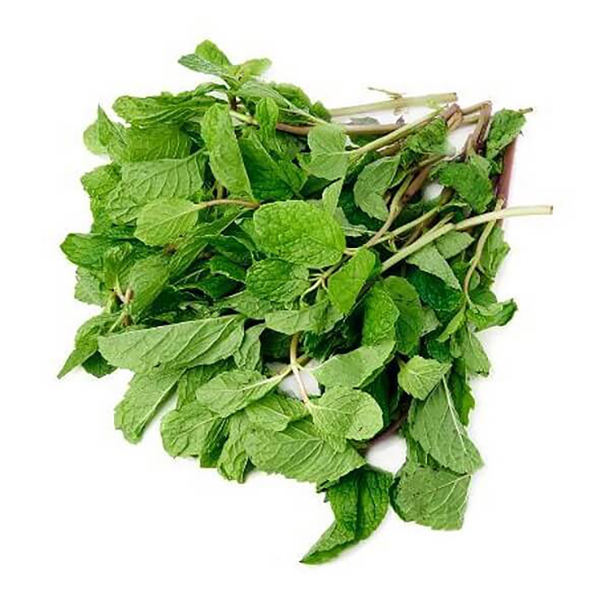 Mint Leaf 100g Approx Weight