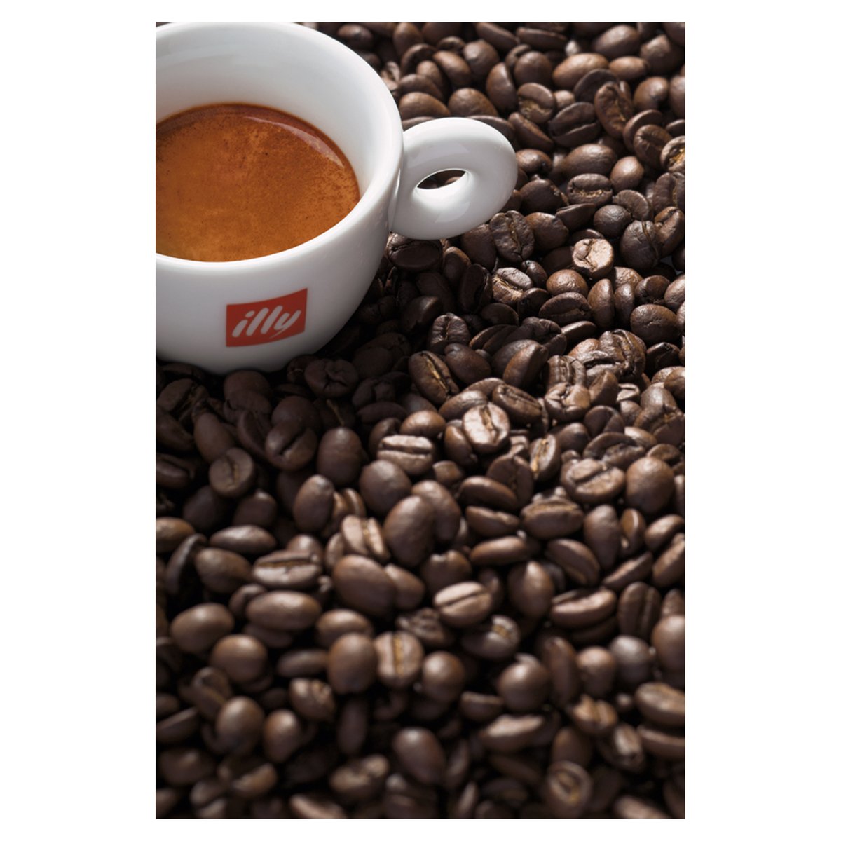 Illy Classic Roast Coffee Beans 250 g