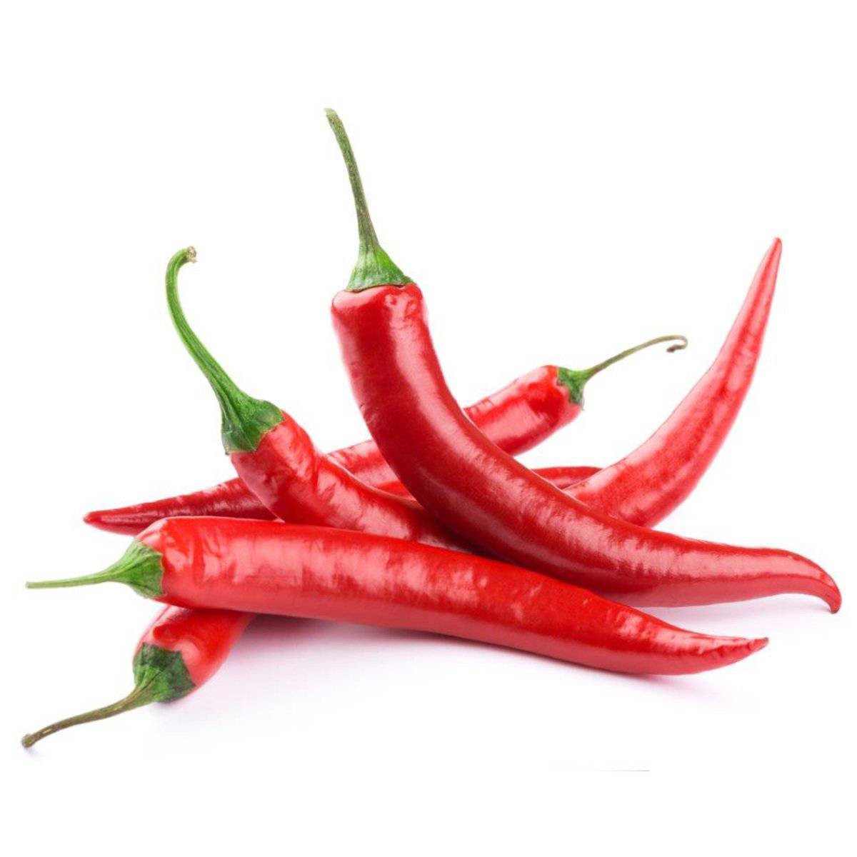 Red Chilli Long Thailand 1.5 kg