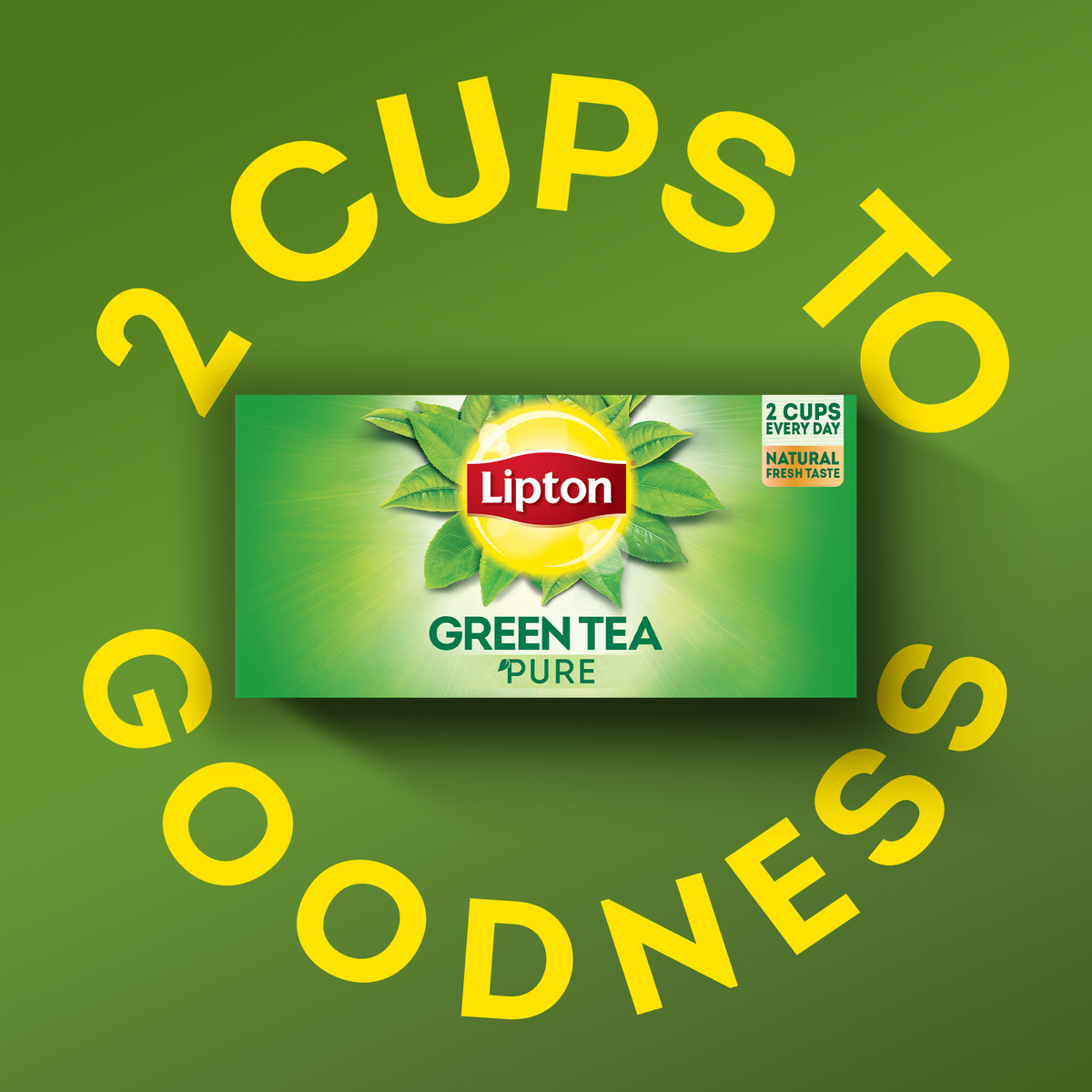 Lipton Pure Green Tea Value Pack 25 Teabags
