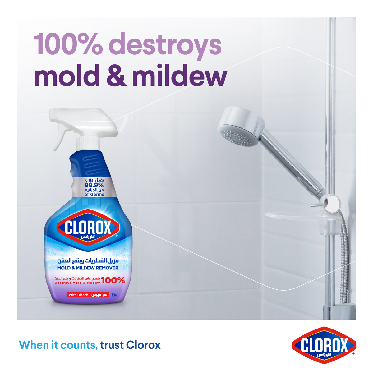 Clorox Mold & Mildew Remover 750 ml