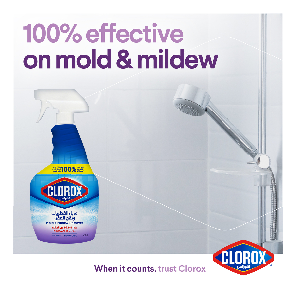 Clorox Multipurpose Cleaner Mold & Mildew Remover 750 ml