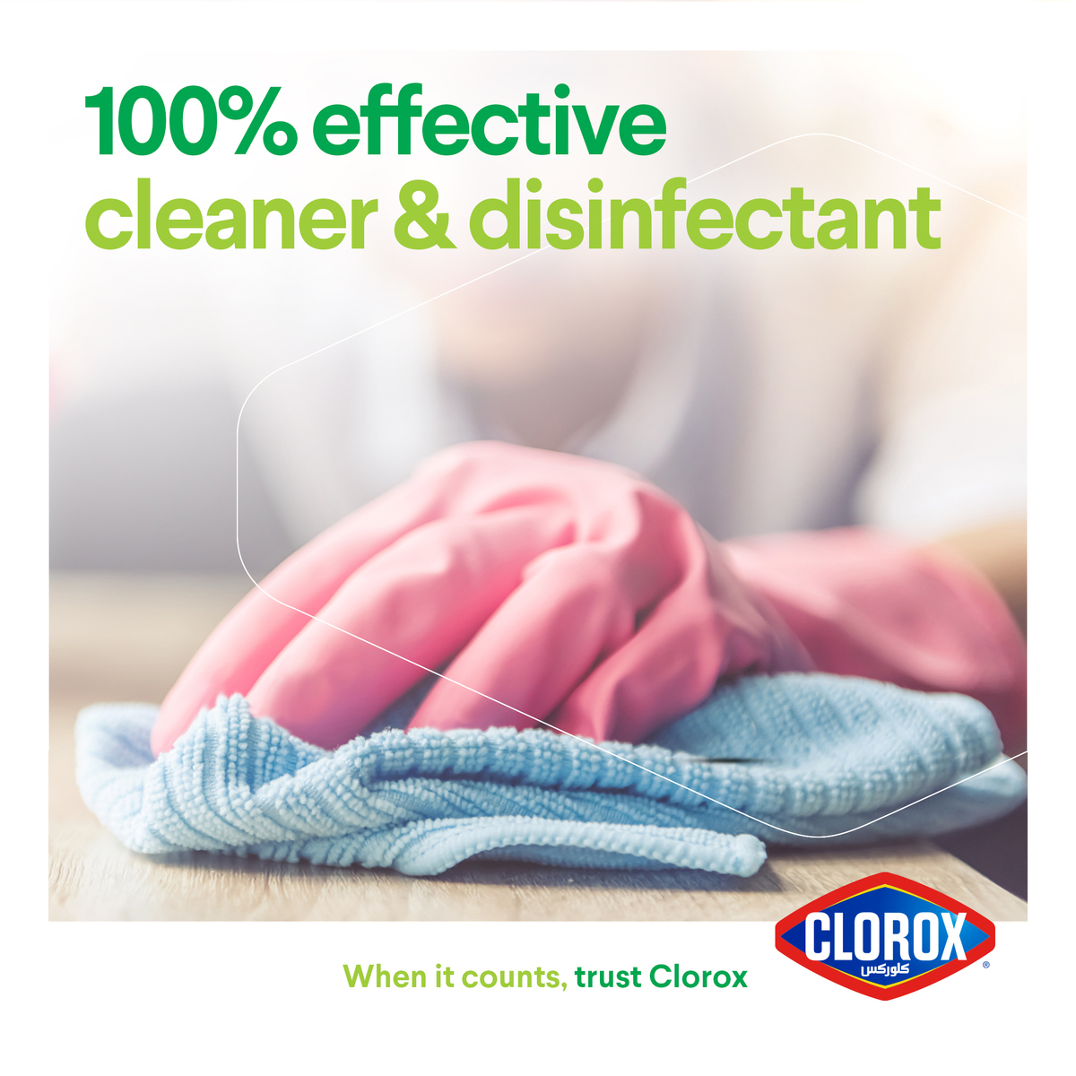 Clorox Multipurpose Cleaner with Bleach 750 ml
