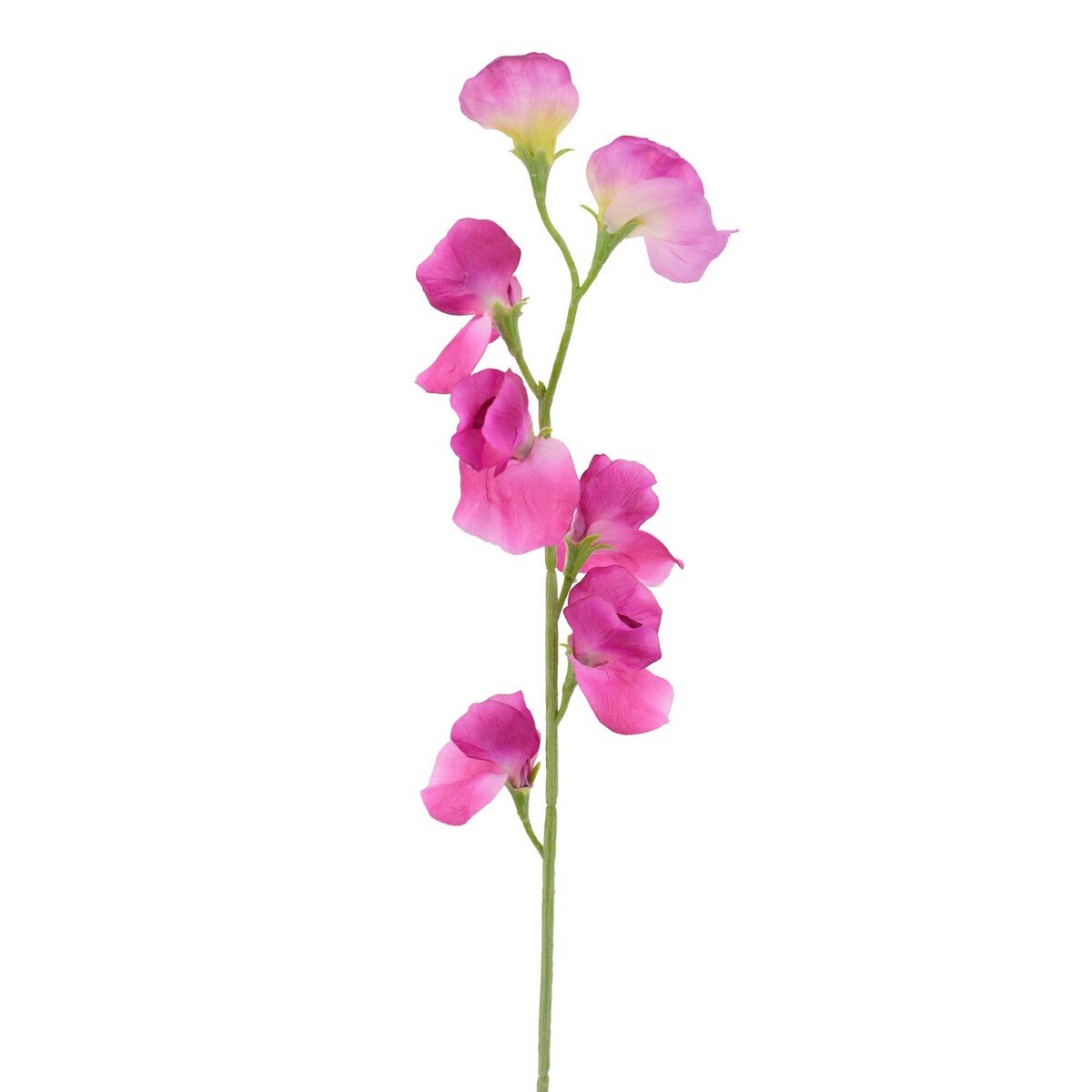 Maple Leaf Home Stick Flower Sweet Pea Pink, 64 cm, 29004TF