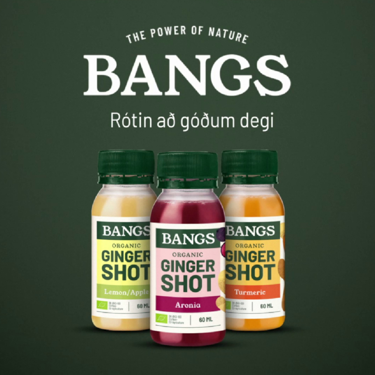 Bangs Organic Ginger Shot Turmeric 60 ml