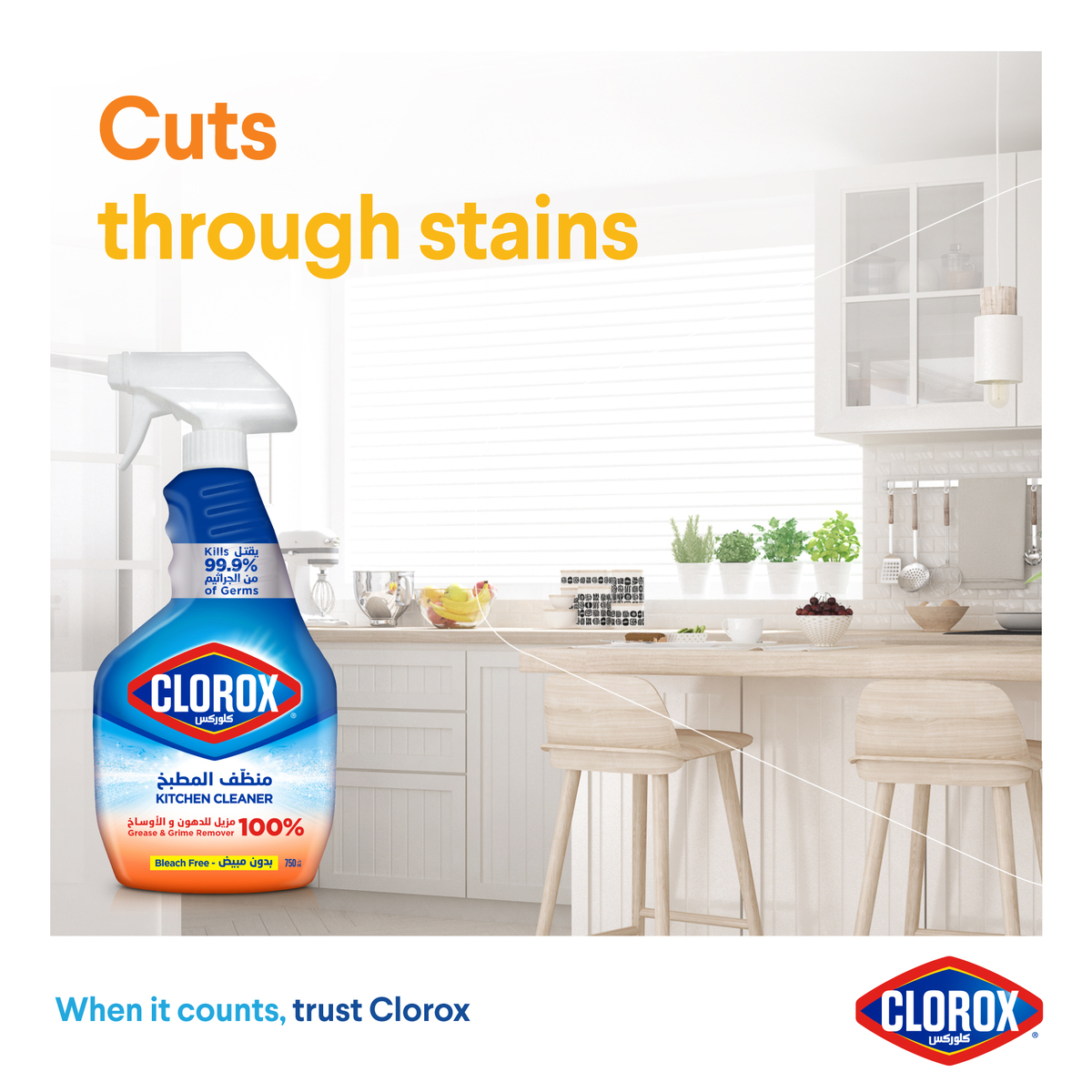 Clorox Kitchen Spray Cleaner Bleach Free 750 ml