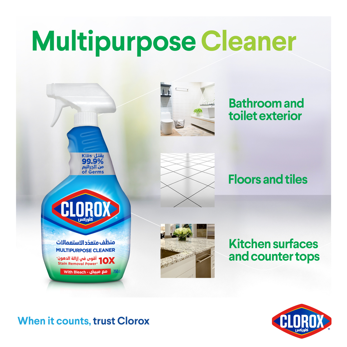 Clorox Multipurpose Spray Cleaner 750 ml