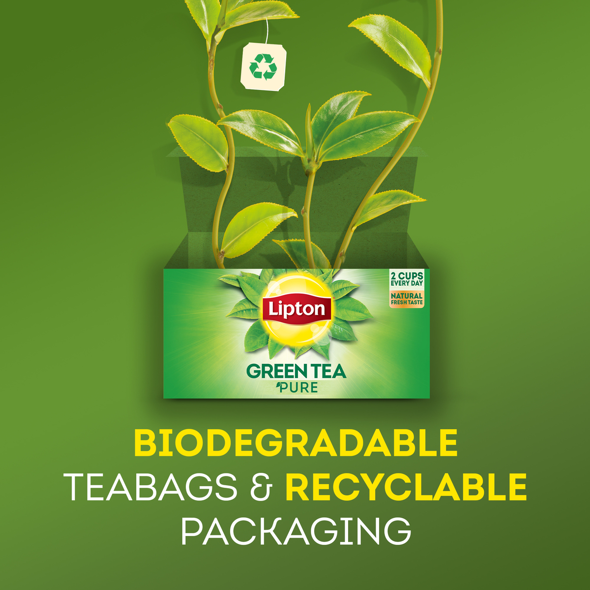Lipton Green Tea Lemon Envelope 50 Teabags