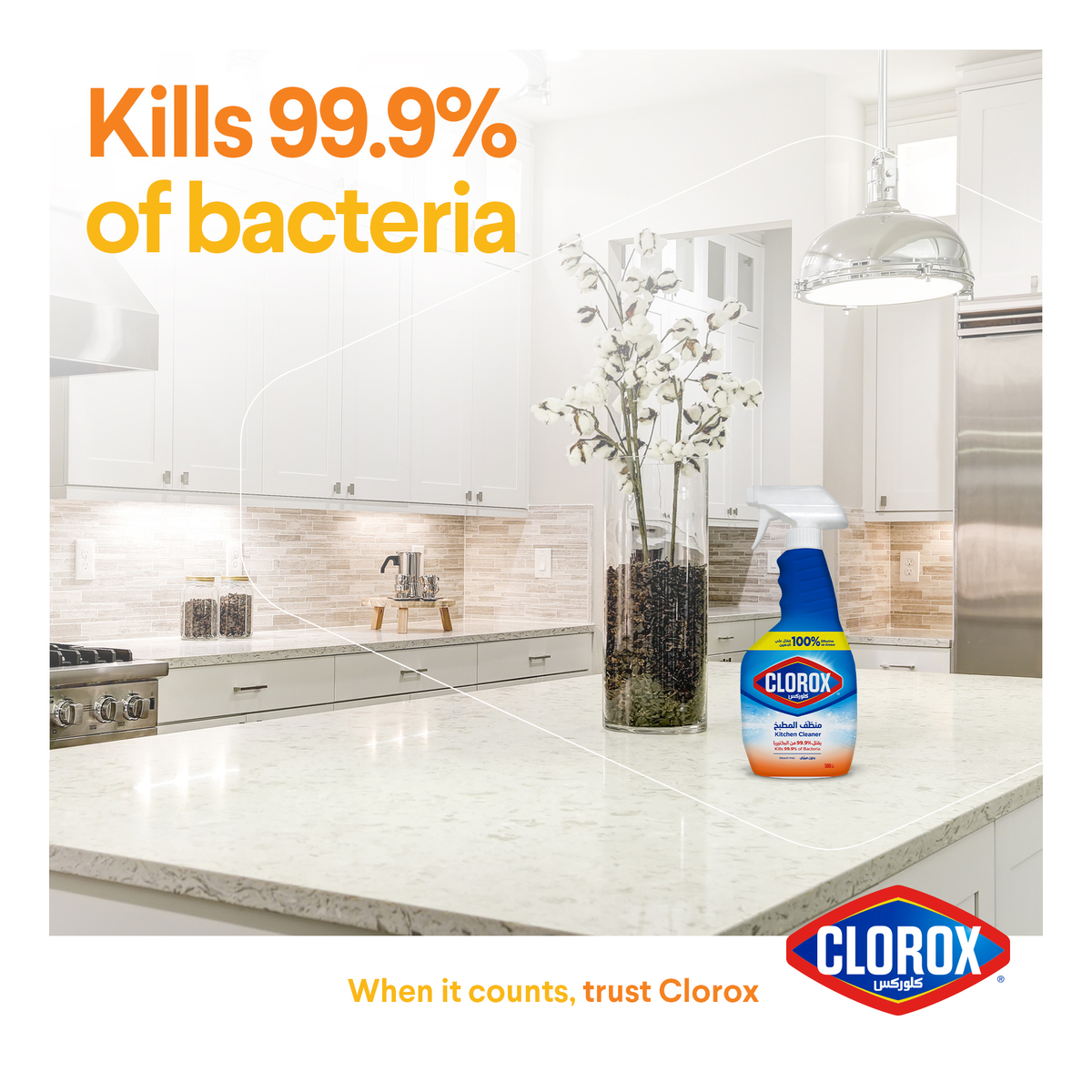 Clorox Kitchen Cleaner Bleach Free 500 ml