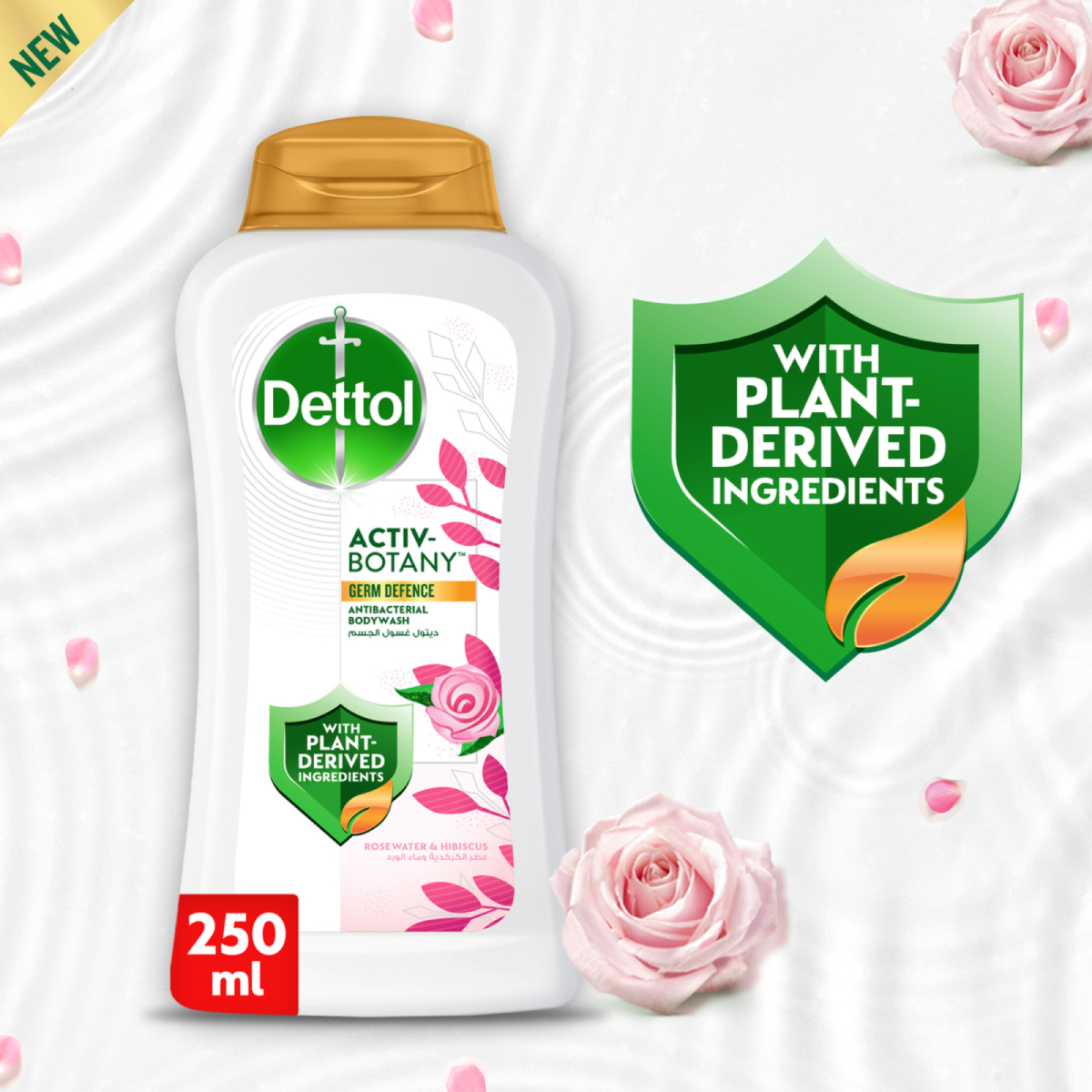 Dettol Activ-Botany Antibacterial Bodywash, Rosewater & Hibiscus Fragrance Value Pack 2 x 250 ml