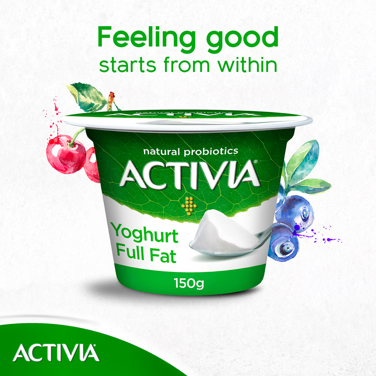 Activia Full Fat Yoghurt 6 x 150 g