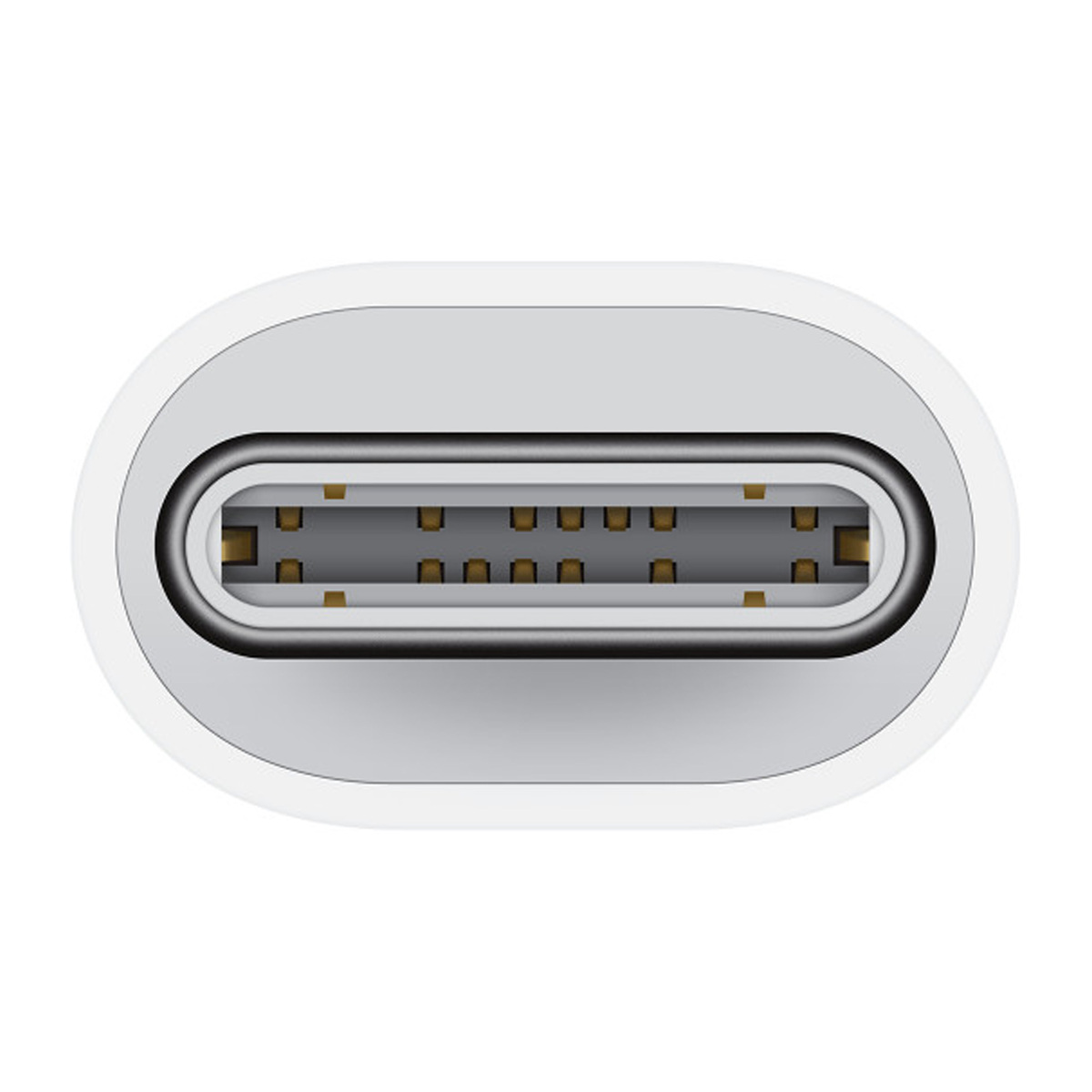 Apple USB-C to Lightning Adapter, White, MUQX3ZE/A