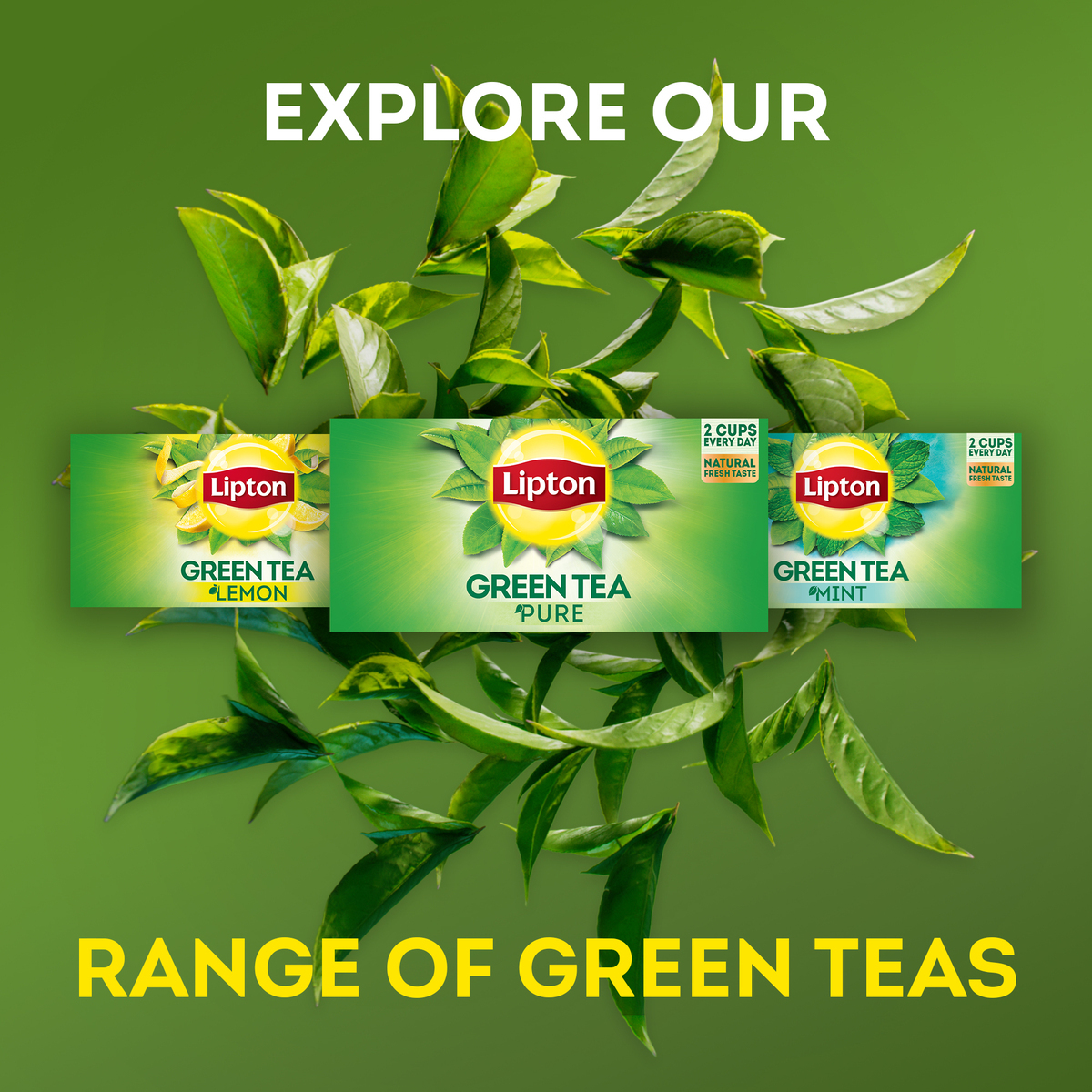 Lipton Green Tea With Mint Value Pack 25 Teabags