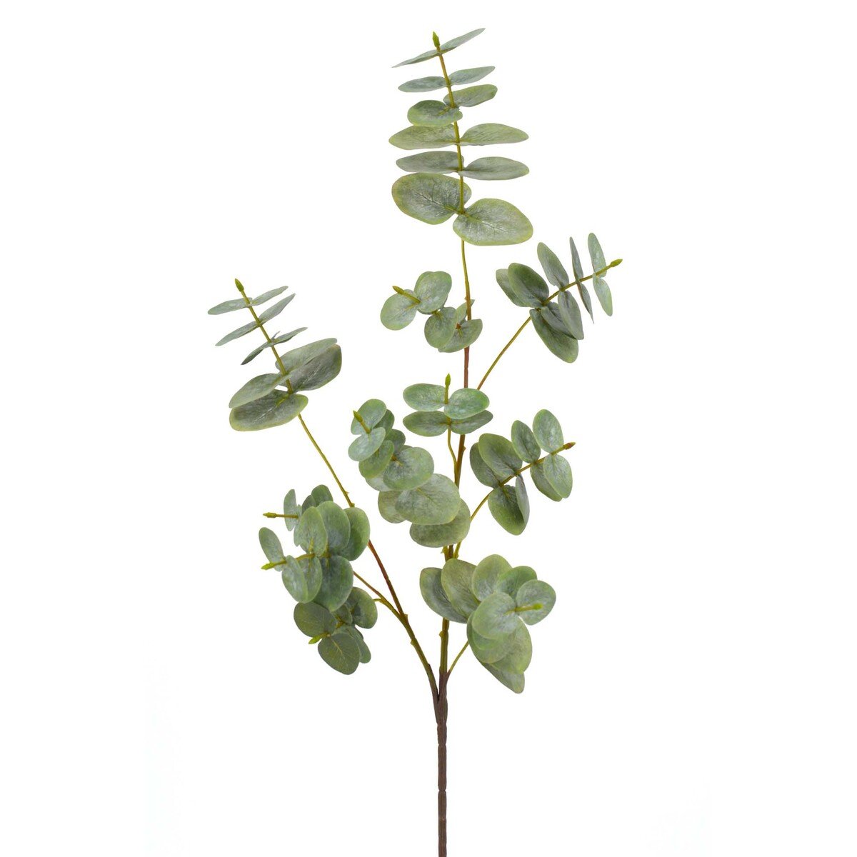 Maple Leaf Home Eucalyptus Leaf, 88 cm, 29007YJ