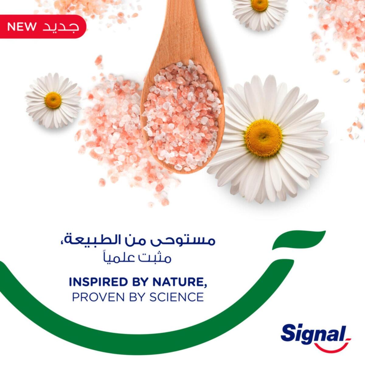Signal Complete 8 Nature Elements Toothpaste Pink Salt & Chamomile 75 ml