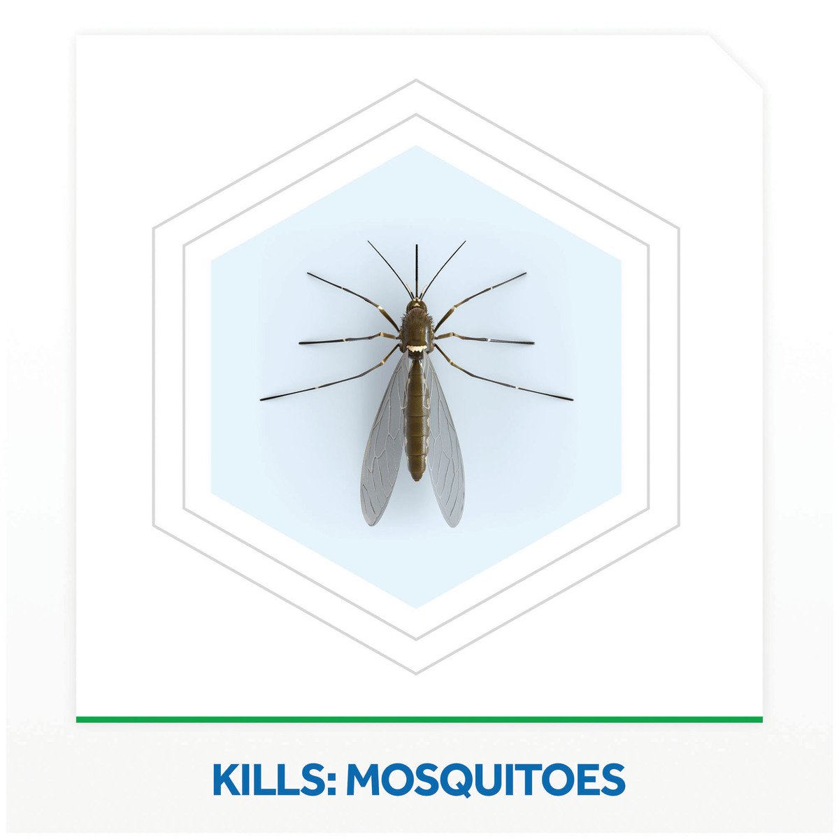 Raid Electric Mosquito Diffuser with Refill 30 Nights