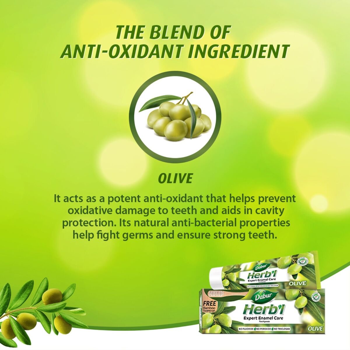 Dabur Herbal Expert Enamel Care Olive Toothpaste 150 g + Toothbrush