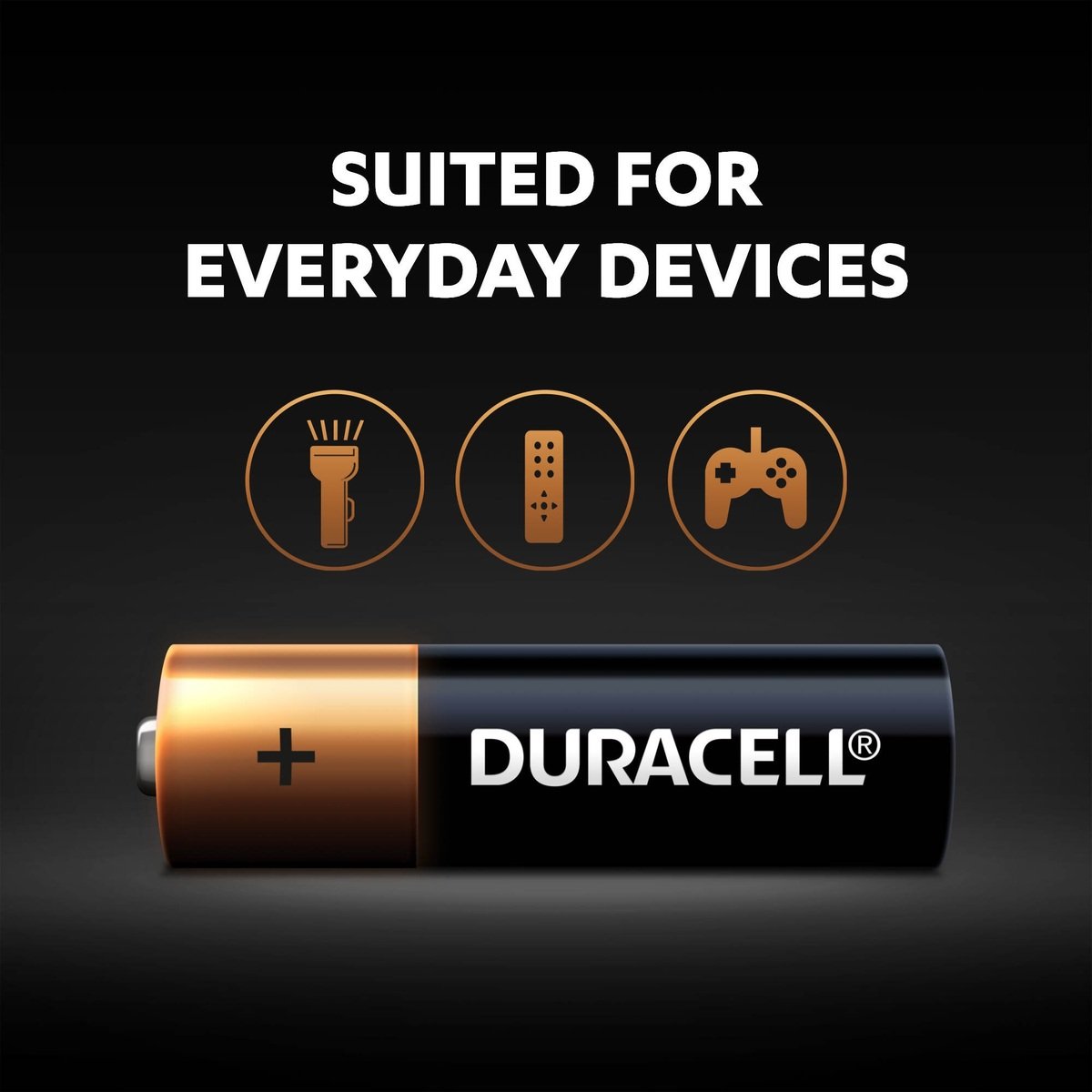 Duracell Type AAA Alkaline Batteries 12BL Value Pack of 12