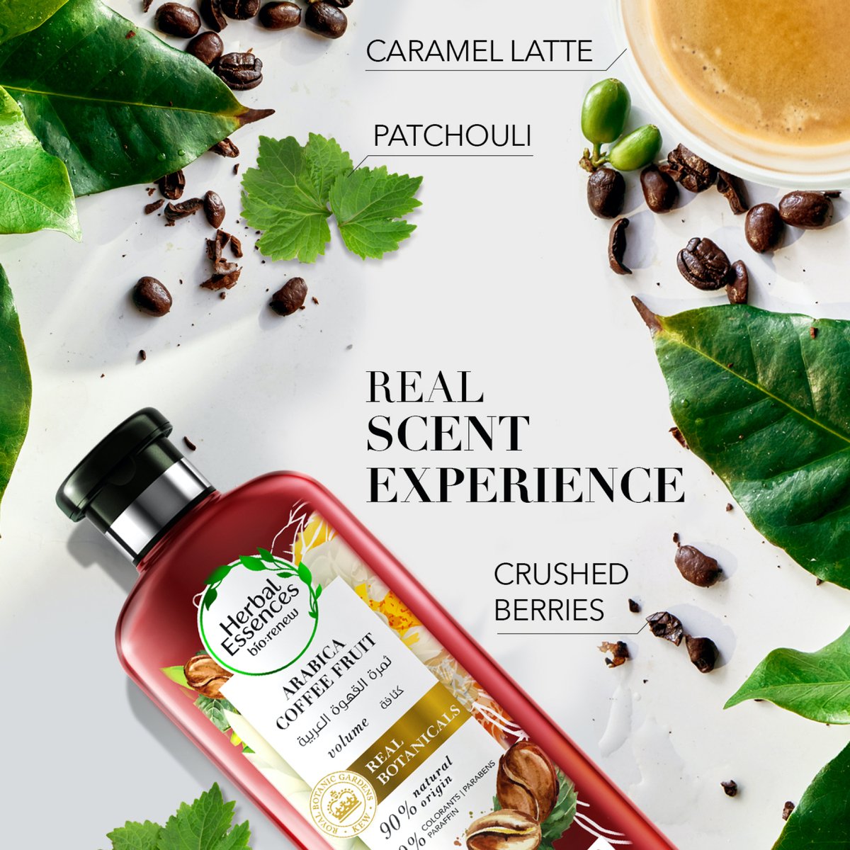 Herbal Essences Bio: Renew Volume Arabica Coffee Fruit Conditioner 400 ml