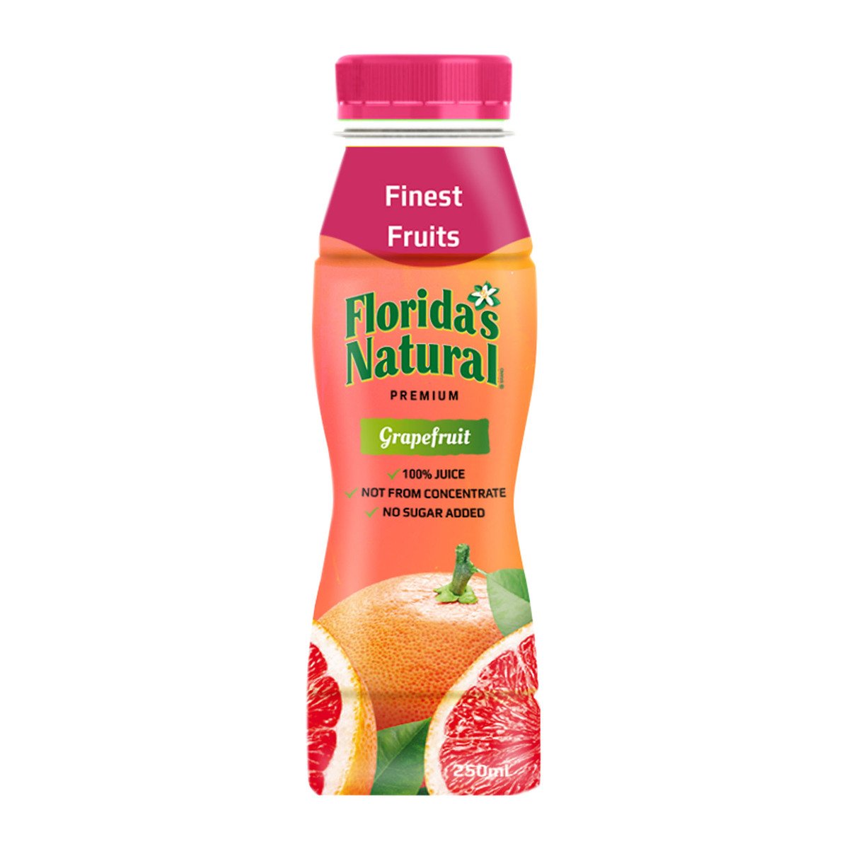 Florida's Natural Grapefruit Juice 250 ml