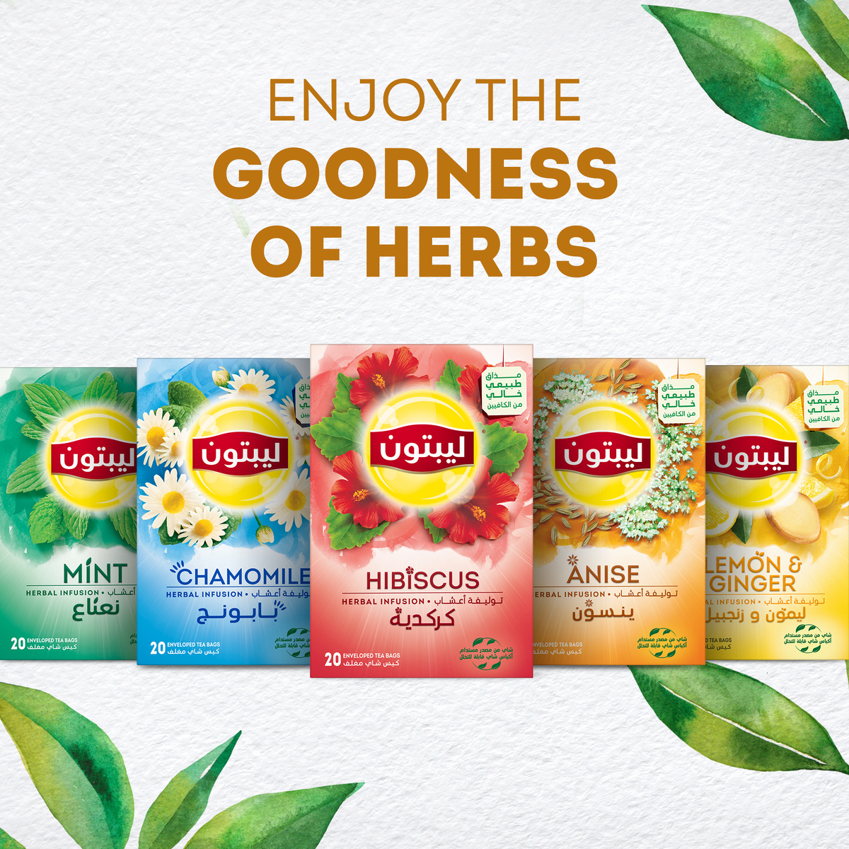 Lipton Hibiscus Herbal Infusion Tea 20 Teabags