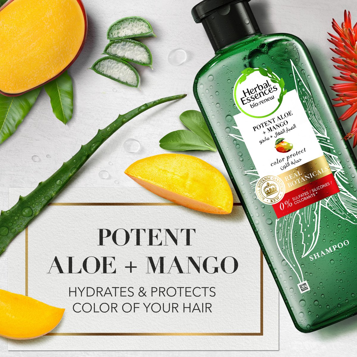 Herbal Essences Sulfate Free Potent Aloe + Mango Shampoo 400 ml & Conditioner for Dry Hair and Frizzy Hair 400 ml
