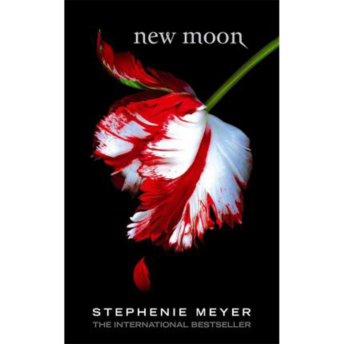 New Moon, Paperback