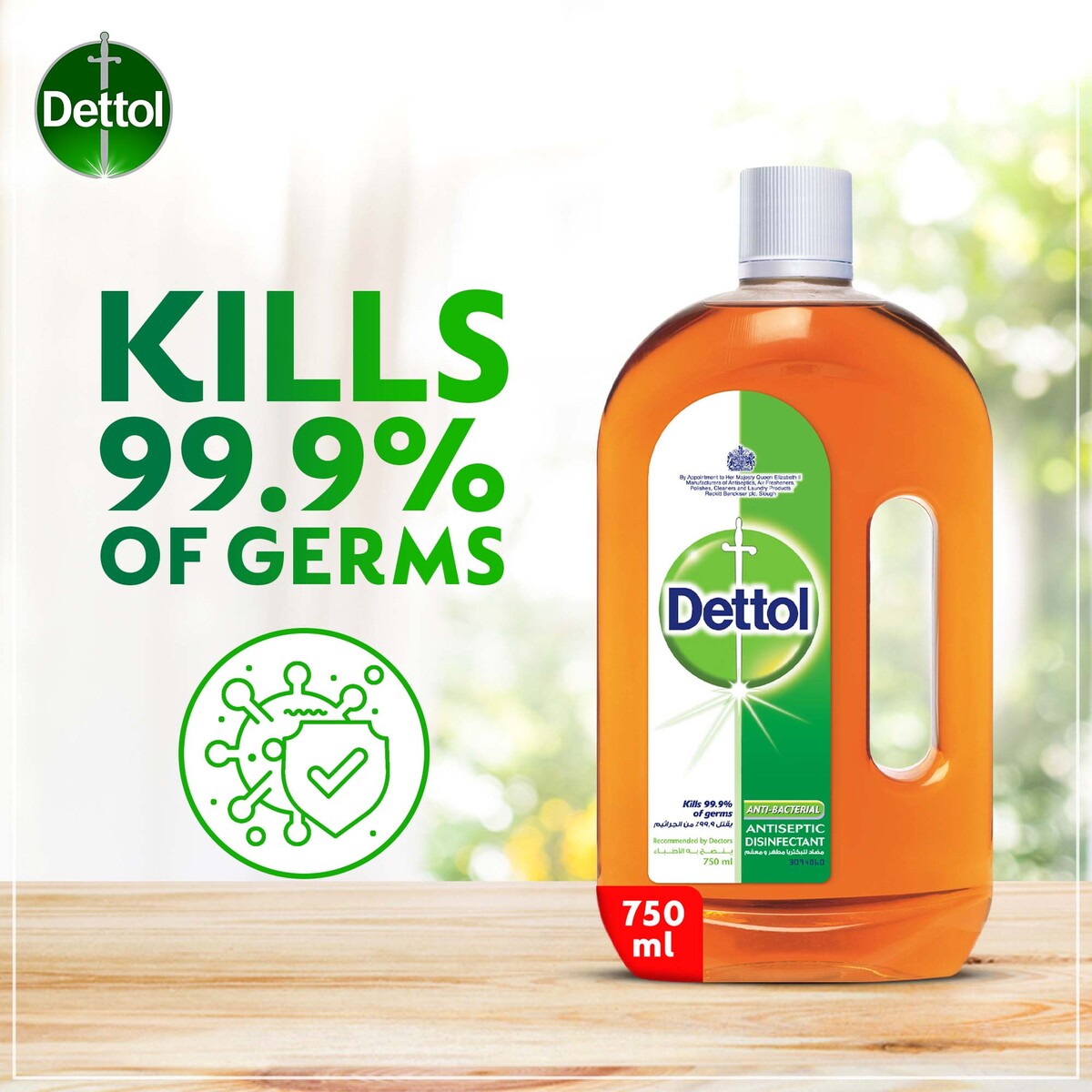 Dettol Liquid Anti-Bacterial Anti-Septic Disinfectant Value Pack 2 x 750 ml