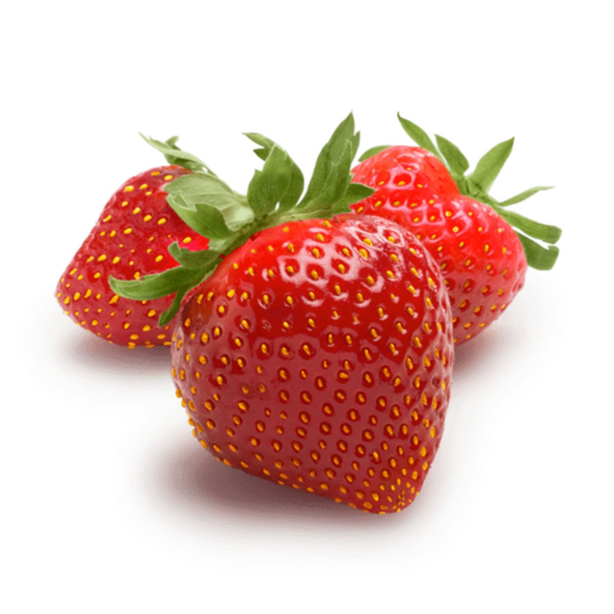 Fresh Strawberry Jumbo USA 1 pkt