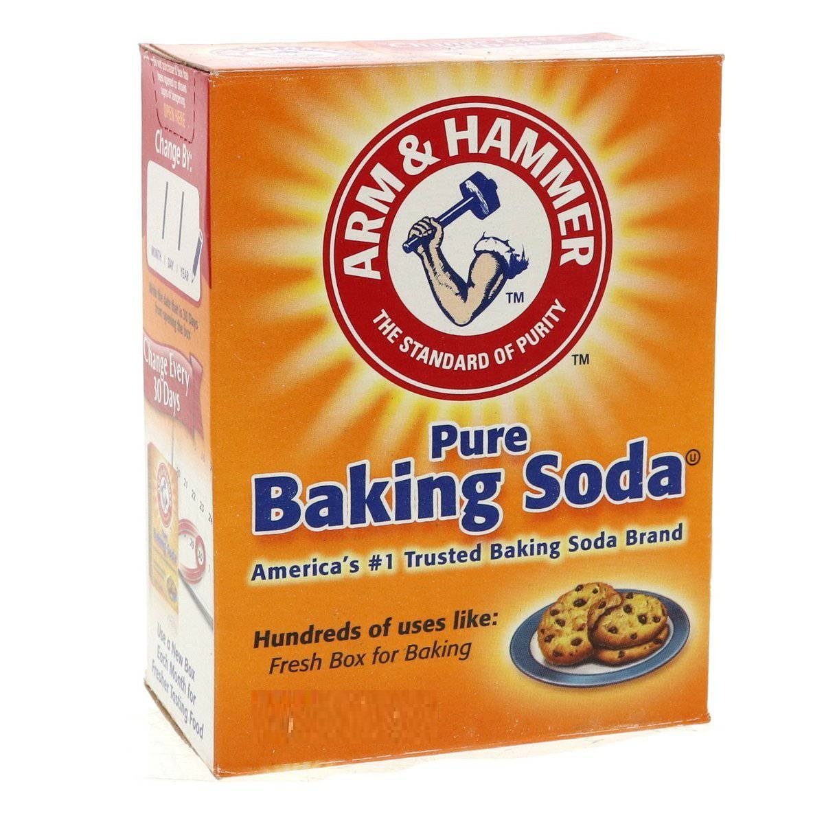 Arm & Hammer Pure Baking Soda 453 g