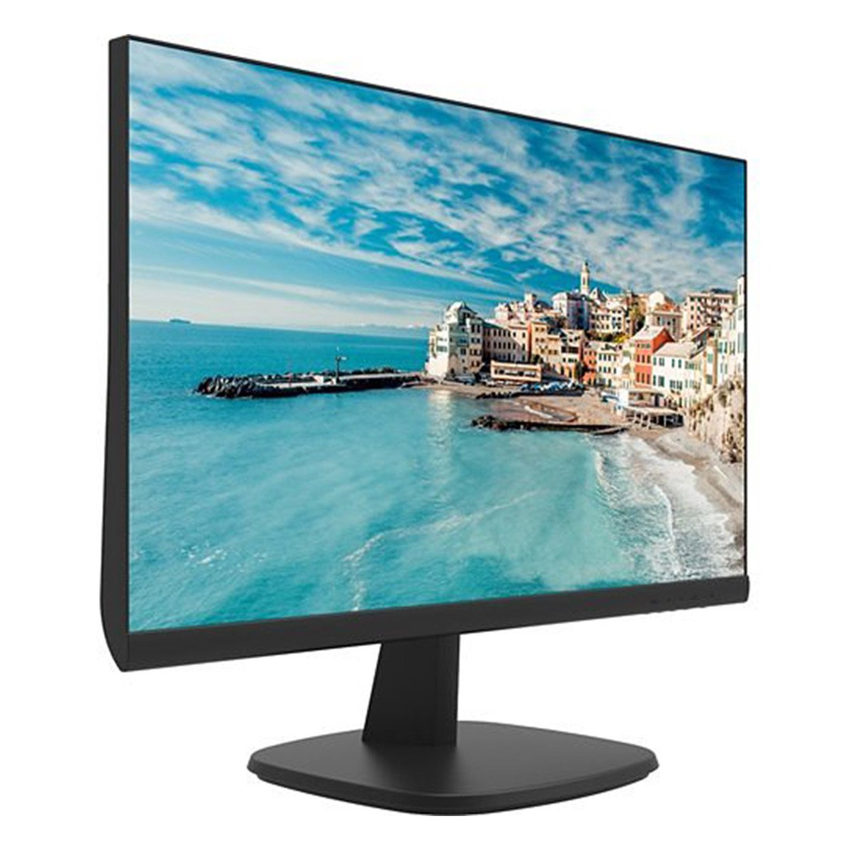 Hikvision FHD Monitor D5024FN 23.8 inch