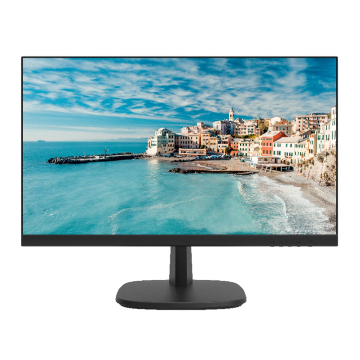 Hikvision FHD Monitor D5024FN 23.8 inch