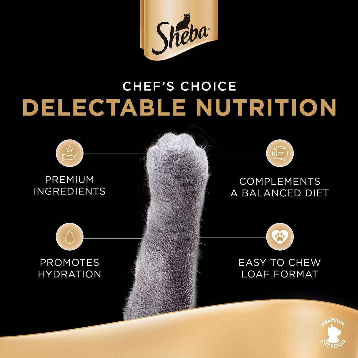Sheba Chicken Premium Loaf Fine Food for Kitten 12 x 70 g
