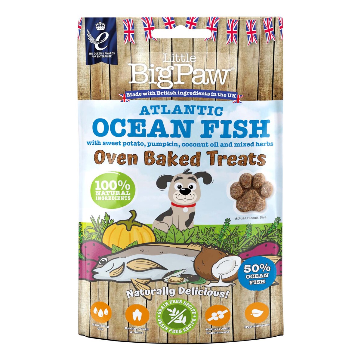 Little BigPaw Atlantic Ocean Fish Oven Baked Treats for Dogs, 130 g