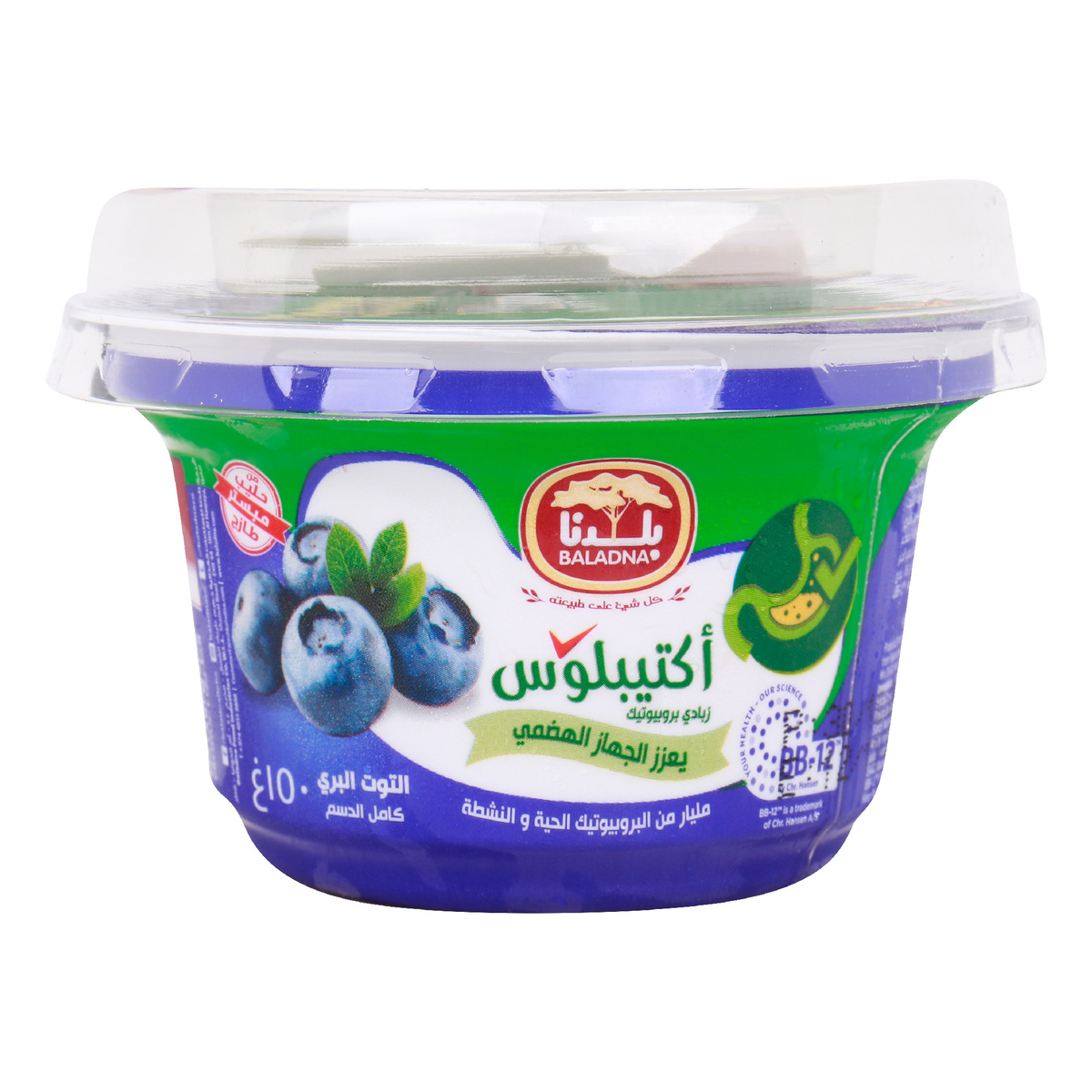 Baladna ActiPlus Full Fat Blueberry Flavoured Yoghurt 150 g