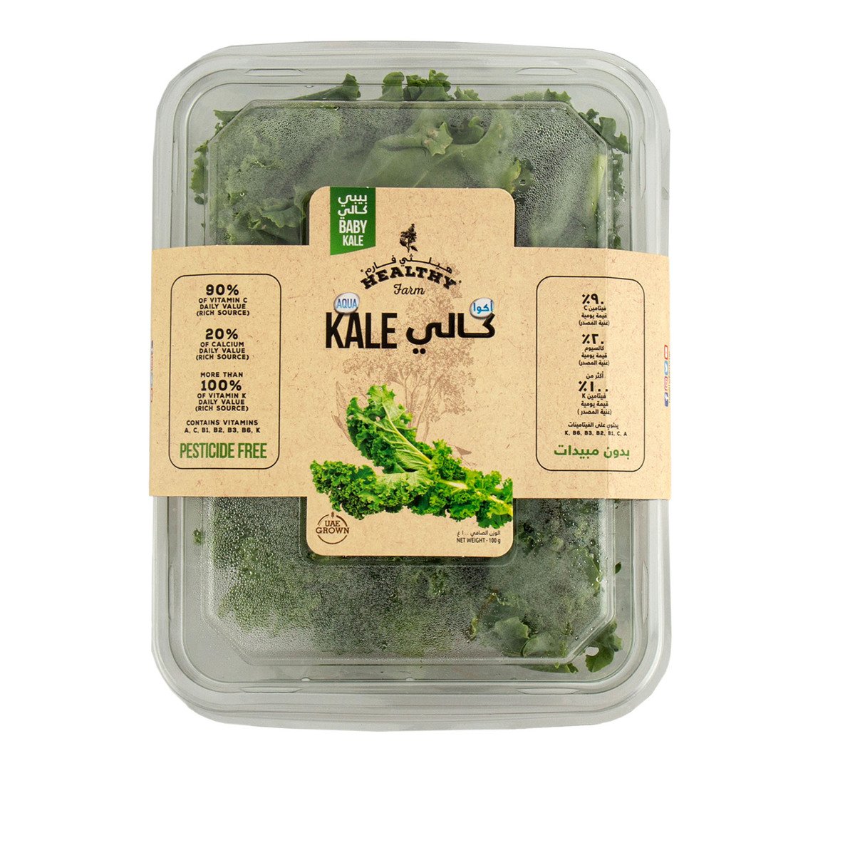اشتري قم بشراء عبوة أوراق كيل إماراتي صغيرة Online at Best Price من الموقع - من لولو هايبر ماركت Other Salad Items في الامارات