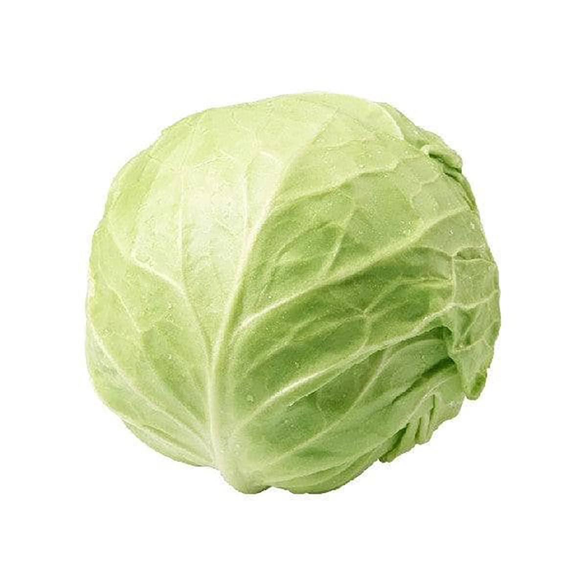 Beijing Cabbage 500g Approx Weight
