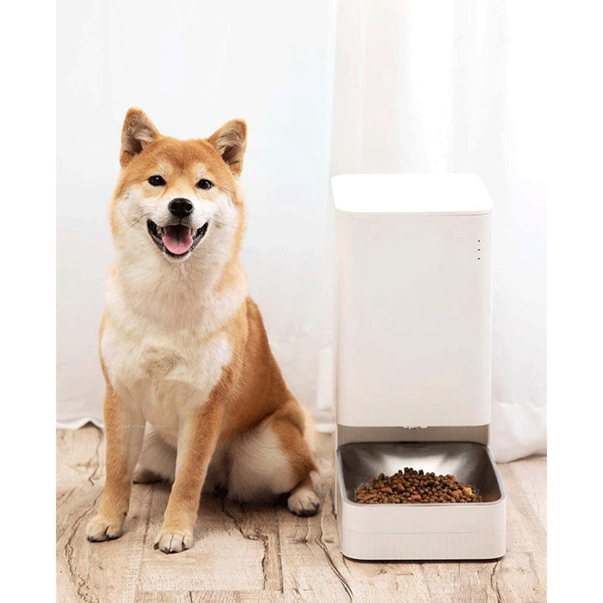 Xiaomi Smart Pet Food Feeder BHR6160UK