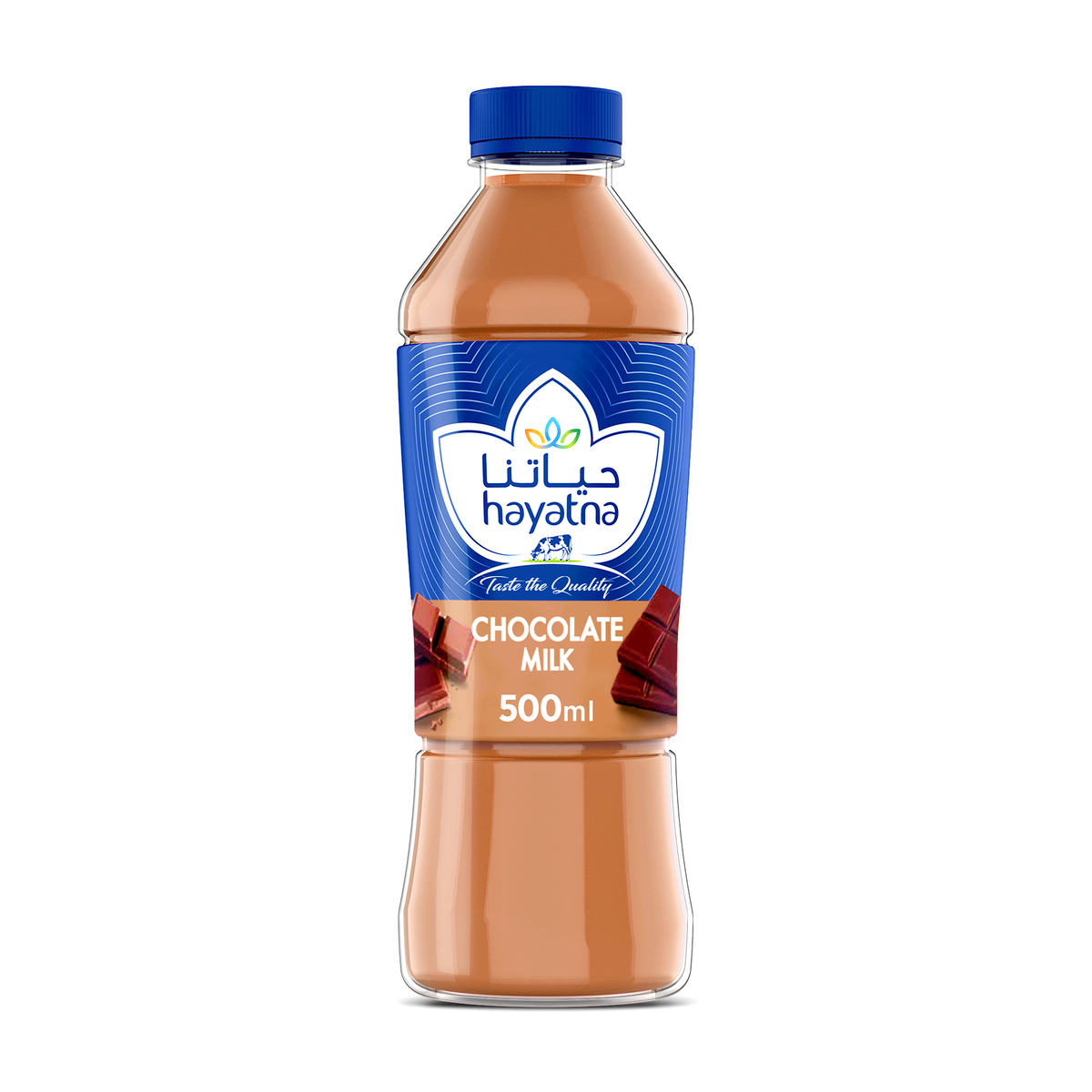 Hayatna Chocolate Flavoured Milk 500 ml