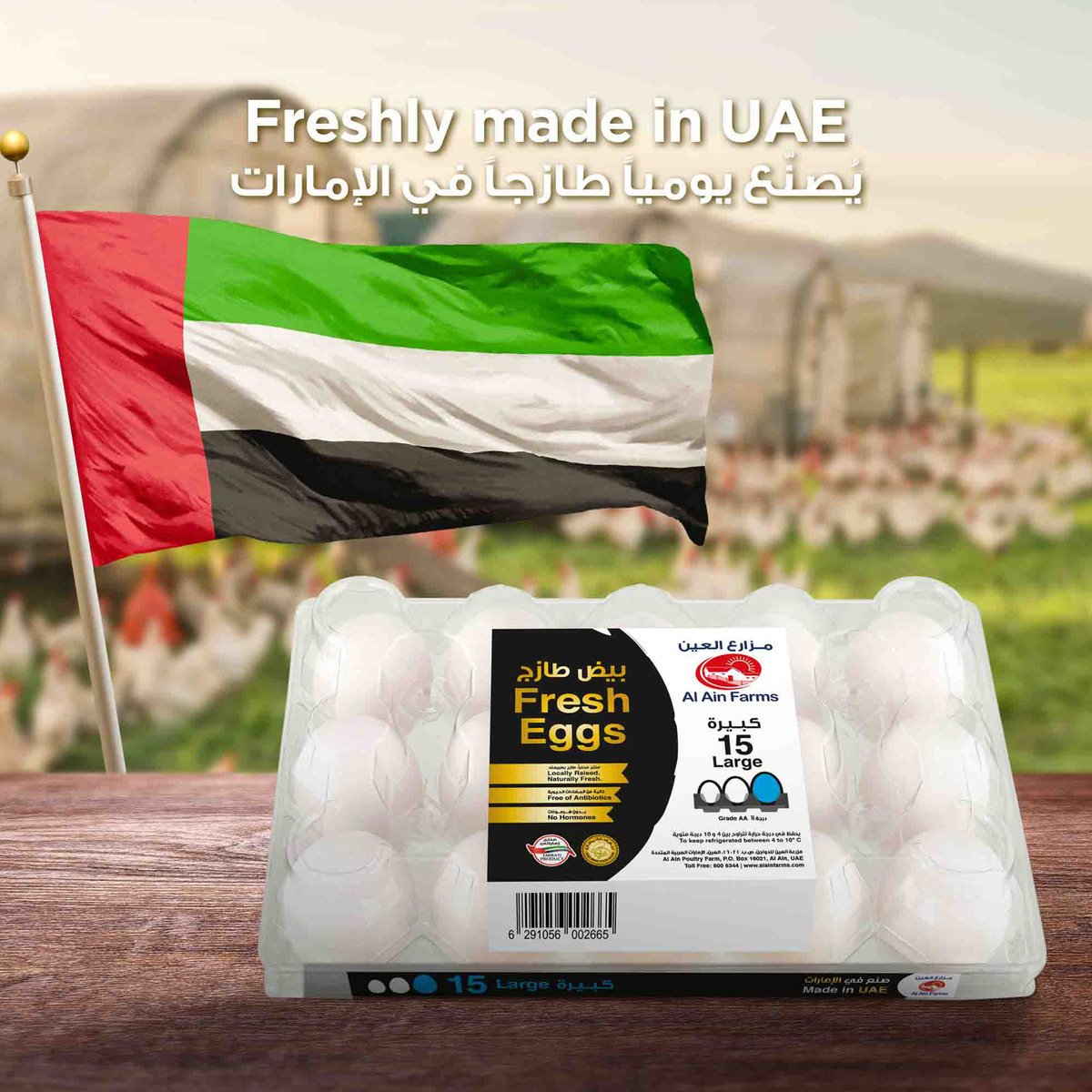 Al Ain Fresh White Eggs Large, 15 pcs
