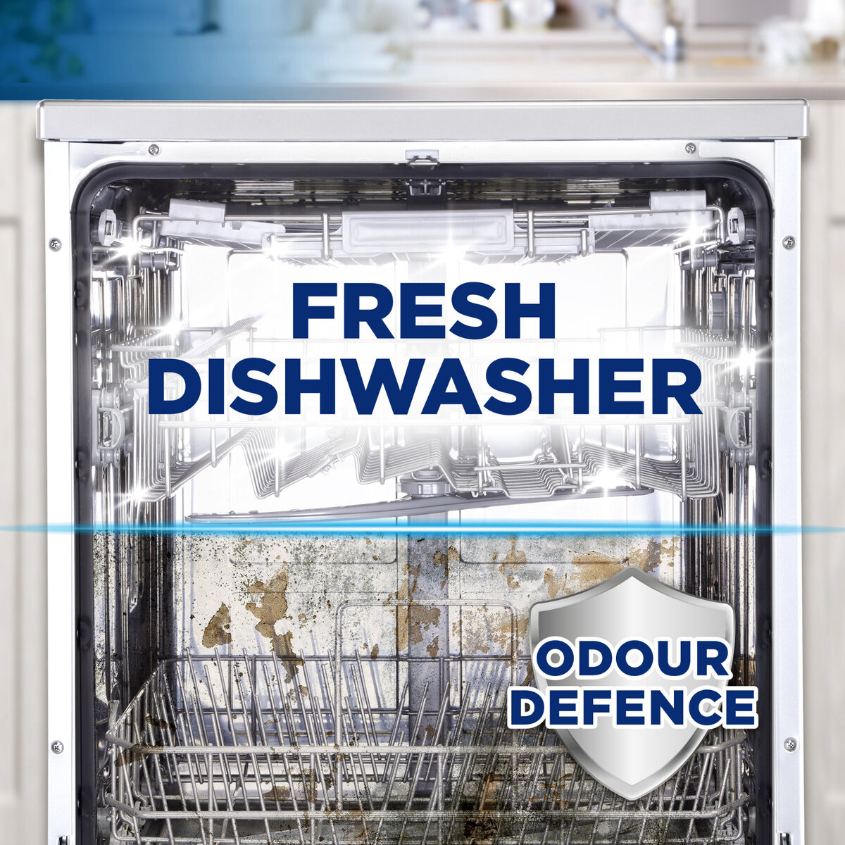 Finish Dishwasher Machine Cleaner 250ml