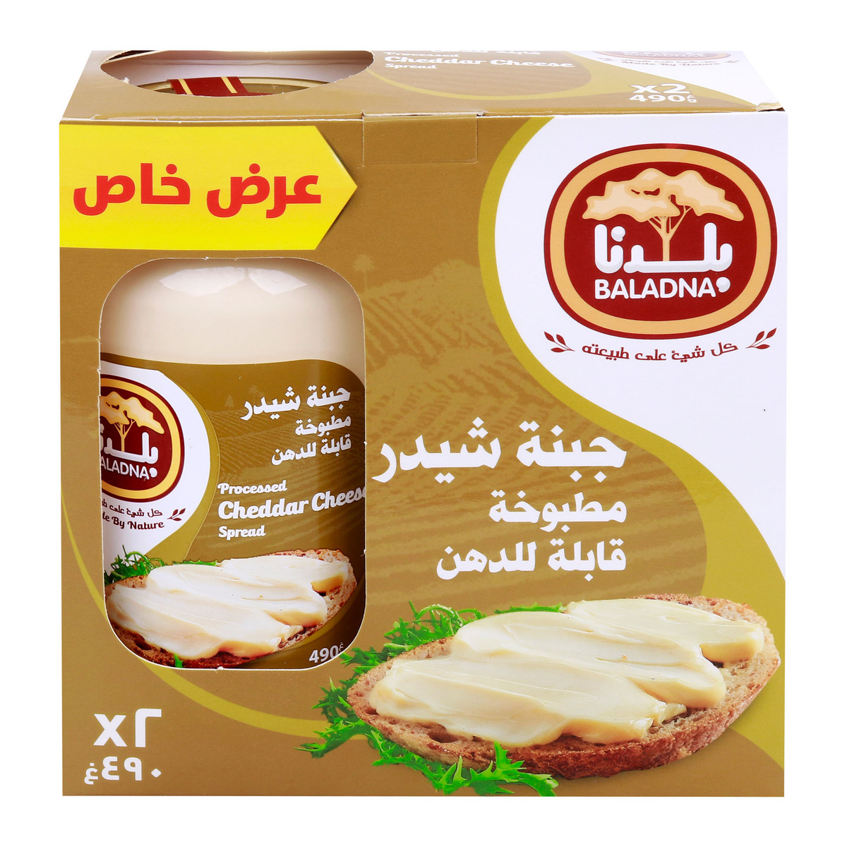 Baladna Processed Cheddar Cheese Spread Value Pack 2 x 490 g