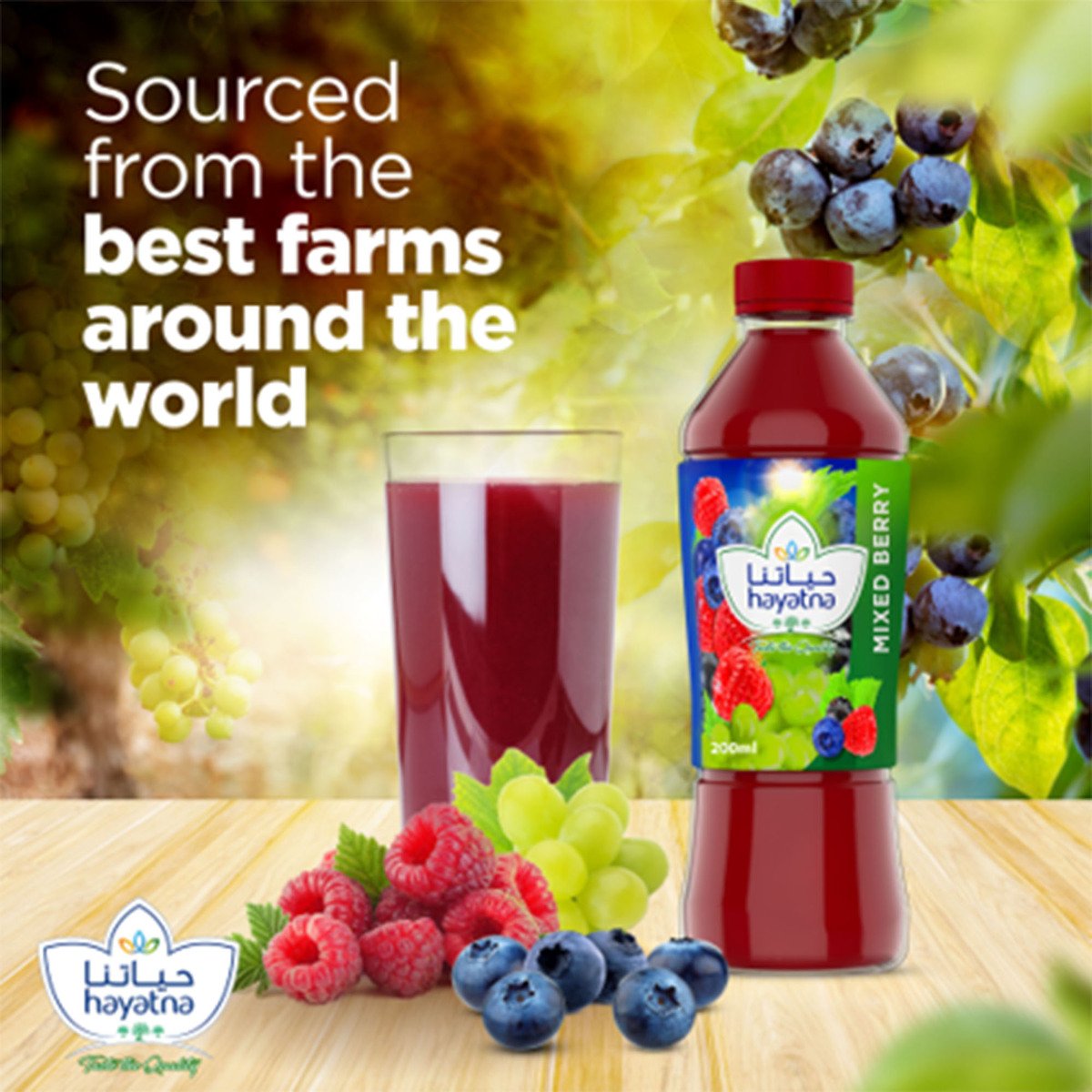 Hayatna 100% Pure Mix Berry Nectar Juice 200 ml